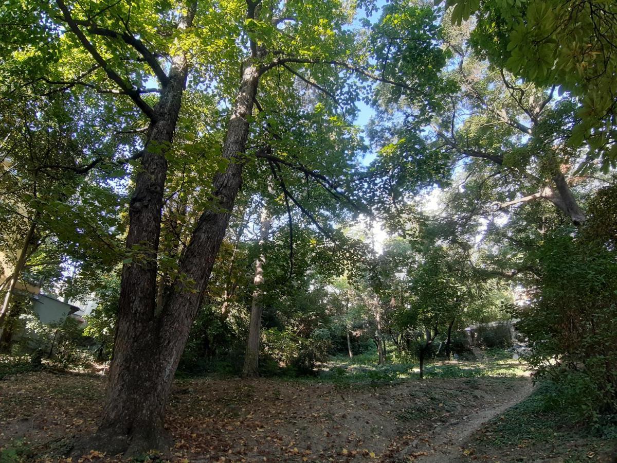 Green Hill Apartment Budapeszt Zewnętrze zdjęcie