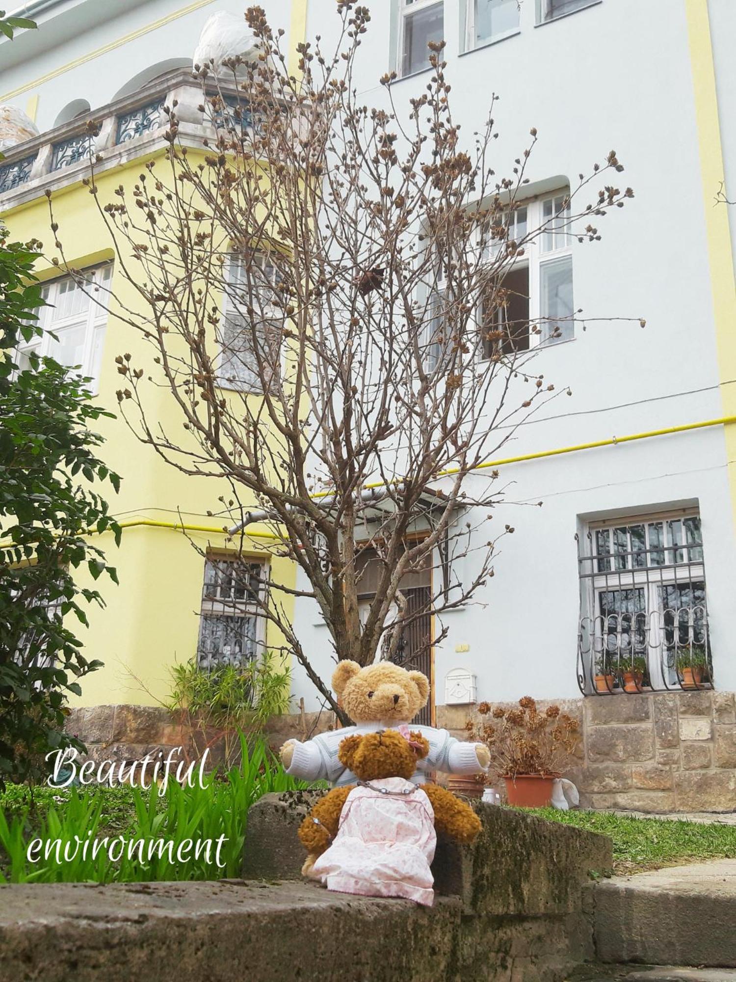 Green Hill Apartment Budapeszt Zewnętrze zdjęcie