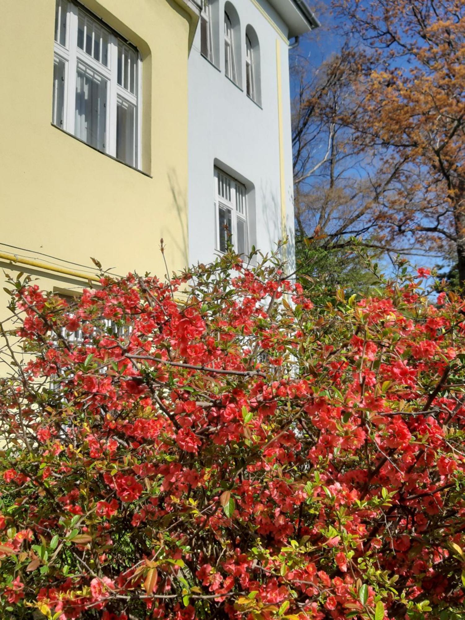 Green Hill Apartment Budapeszt Zewnętrze zdjęcie