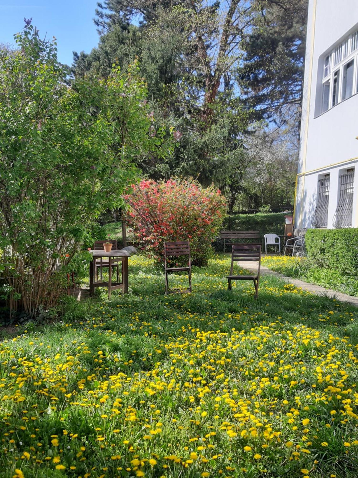 Green Hill Apartment Budapeszt Zewnętrze zdjęcie